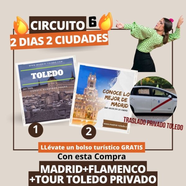 circuito 6 madrid con toledo privado